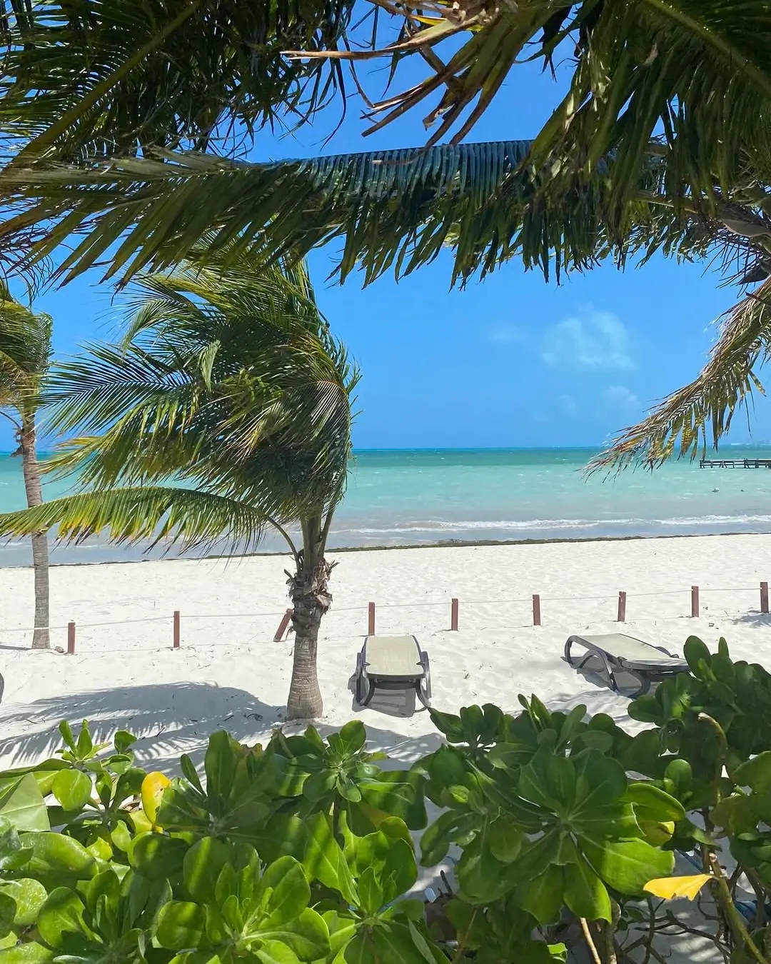 amara condos puerto cancún