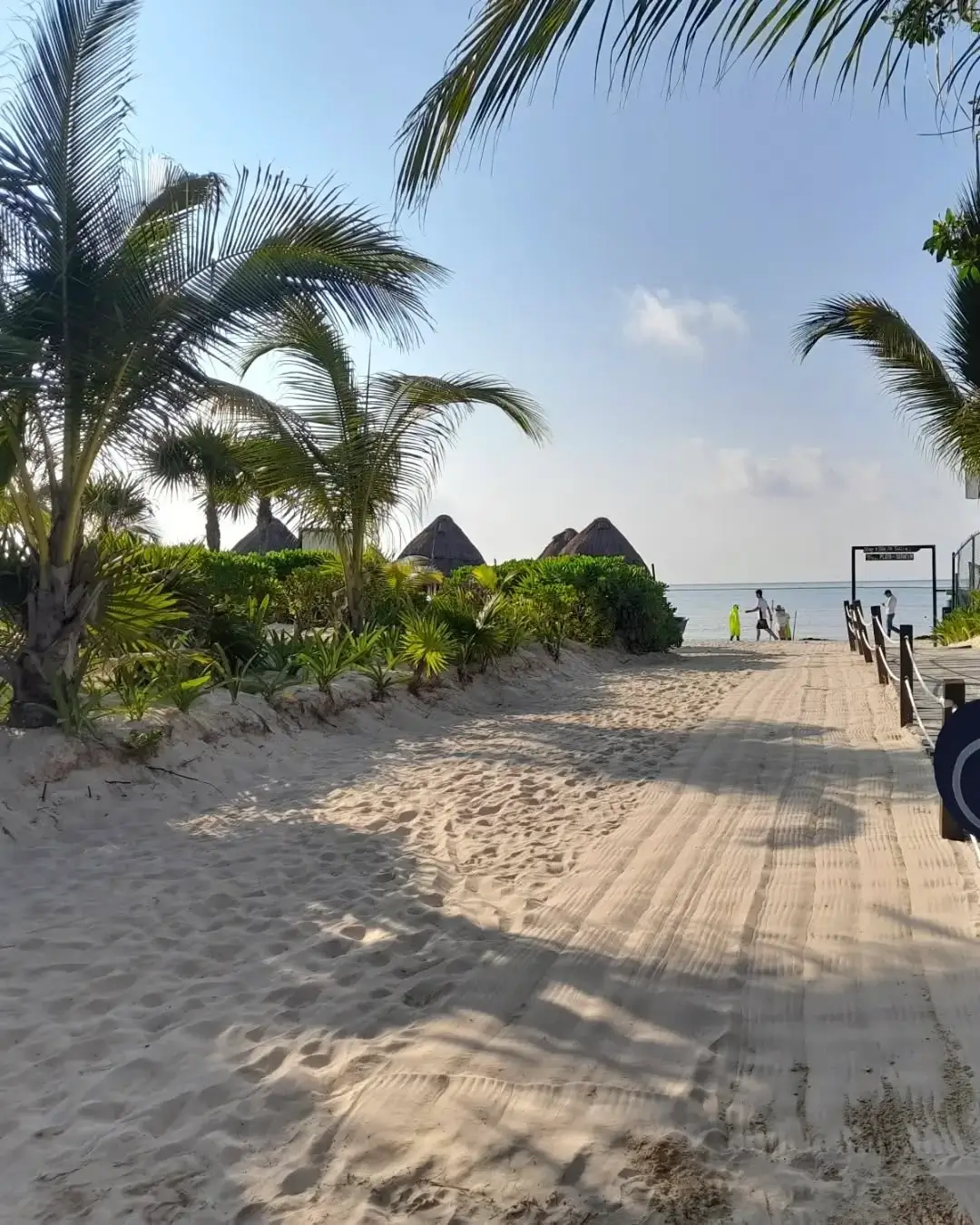 entrada pública de playa 88 en playa del carmen - sargazo info