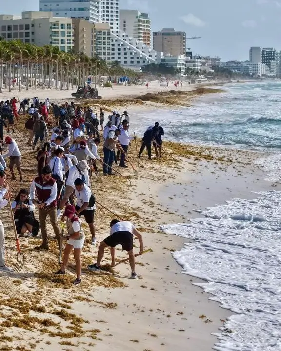 Limpieza de sargazo en Playa Marlín Cancún