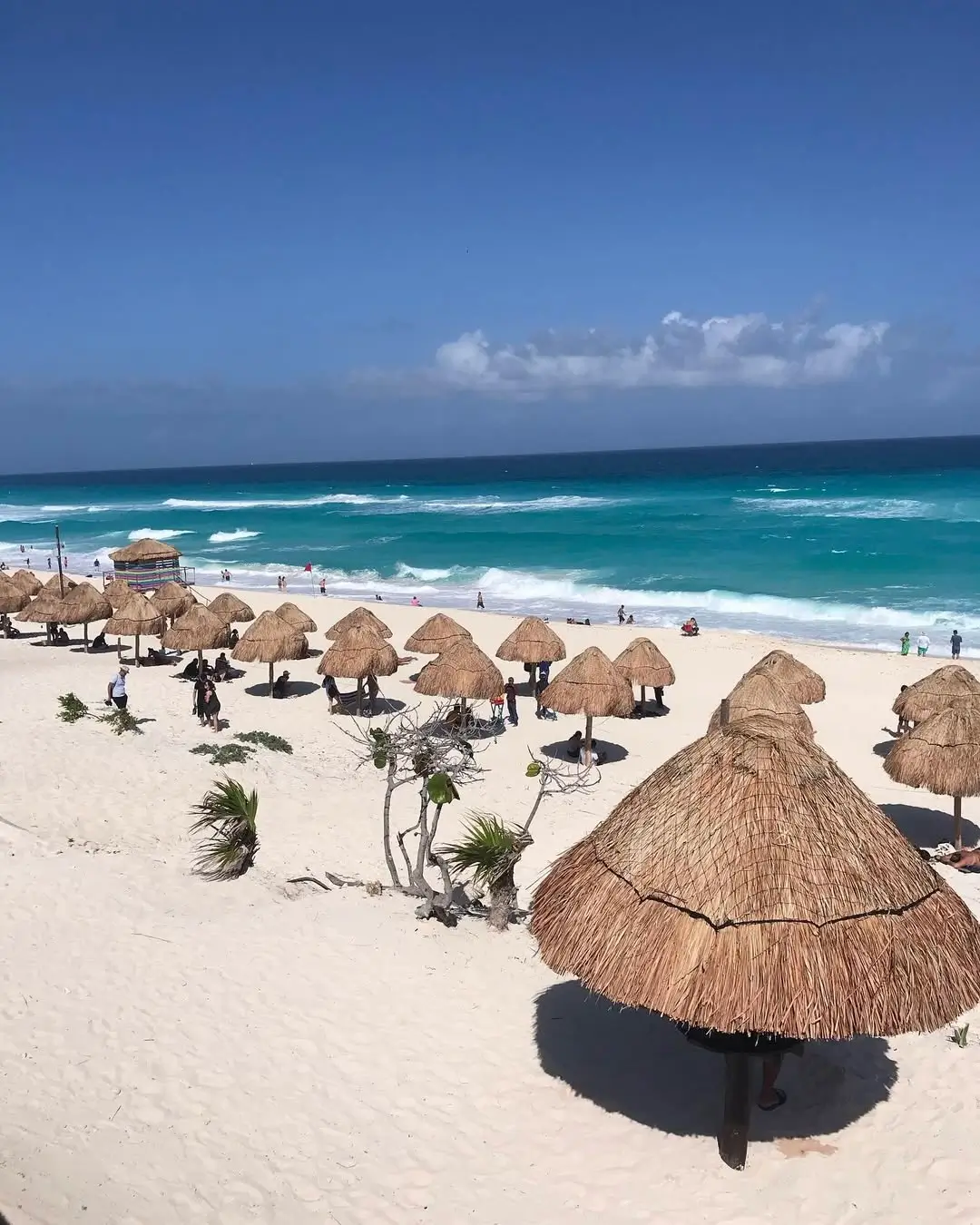 Mirador de playa delfines en cancún - sargazo info