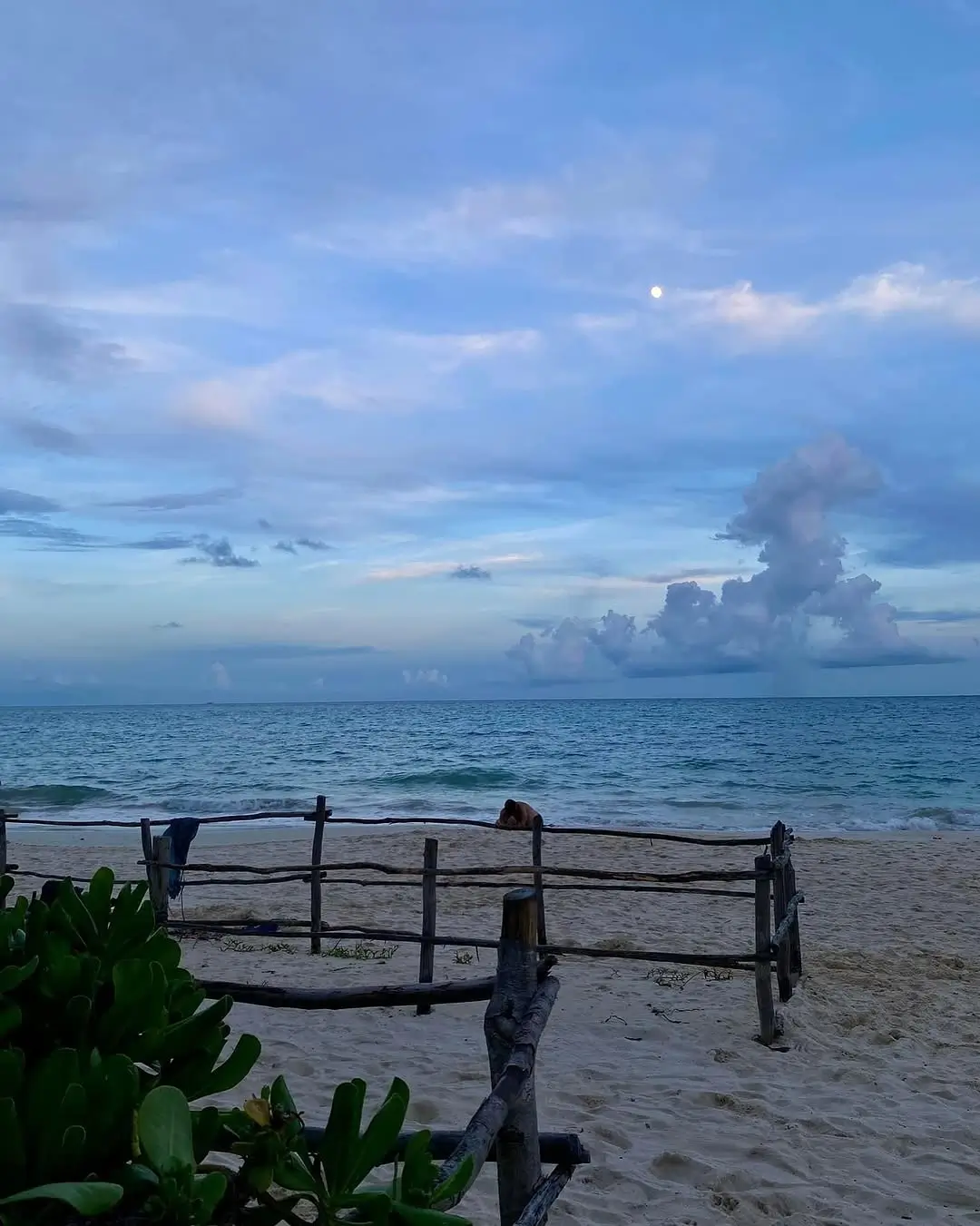 playa colosio riviera maya