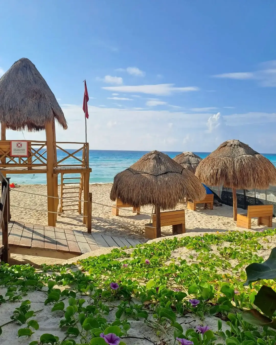 playa ballenas en cancún