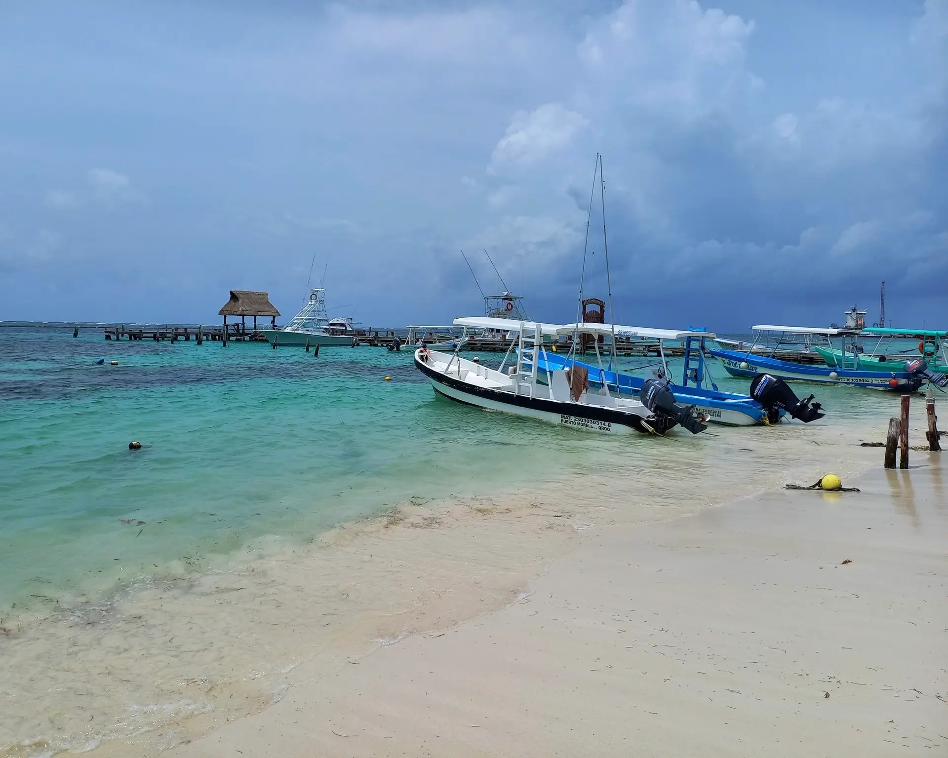 sargazo hoy en puerto morelos