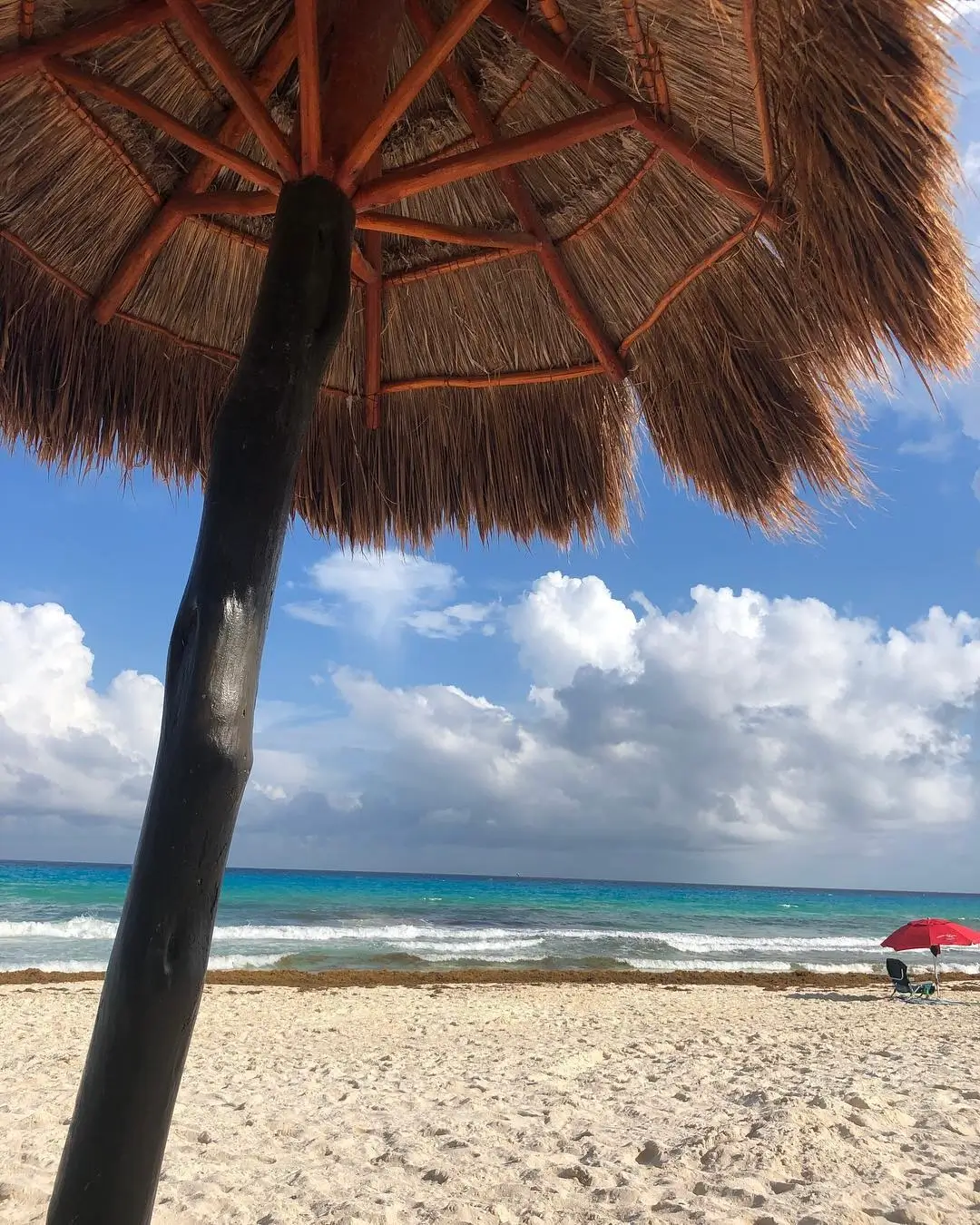 playa chacmool zona hotelera cancún - sargazo info