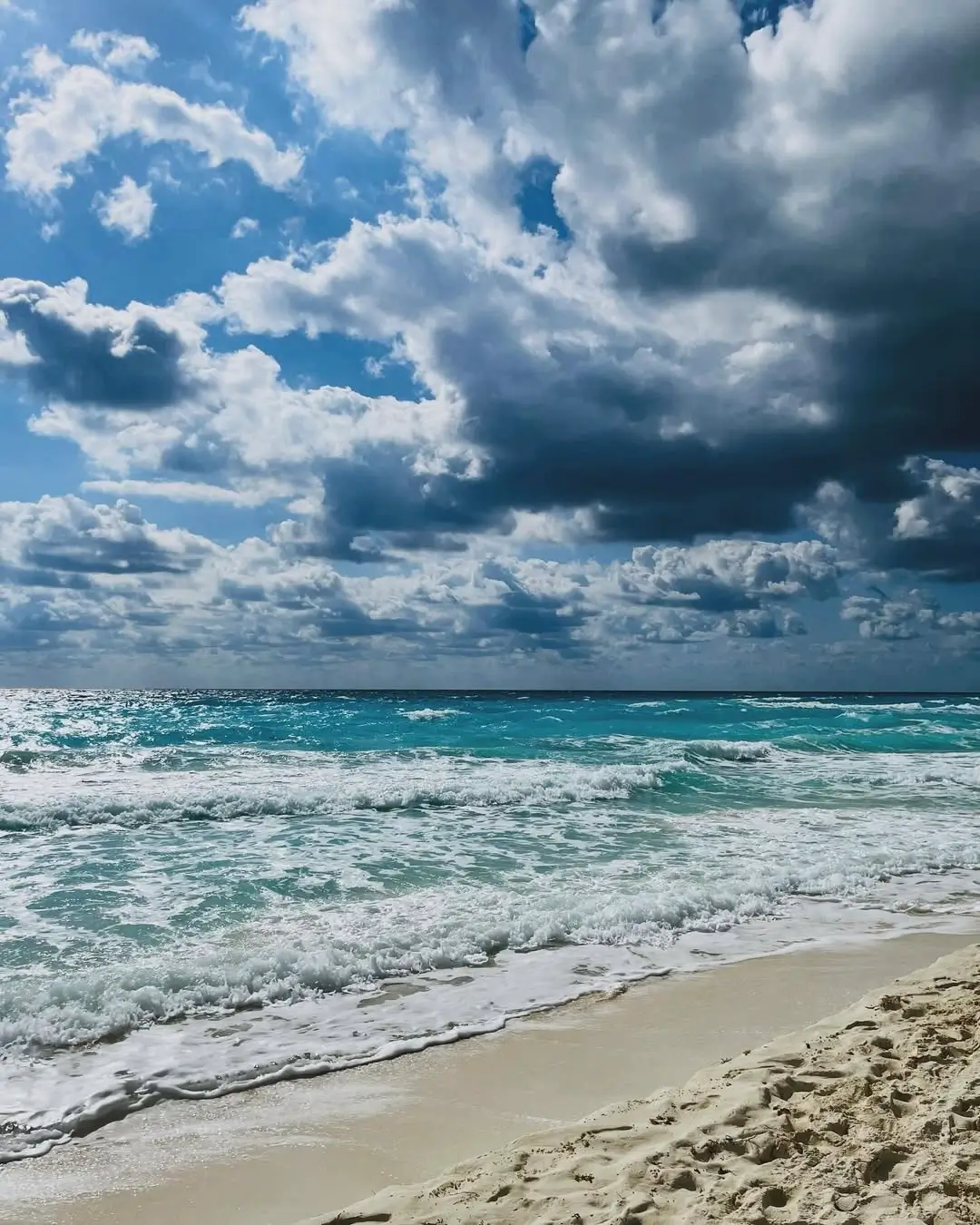 playa chacmol en cancún - sargazo info