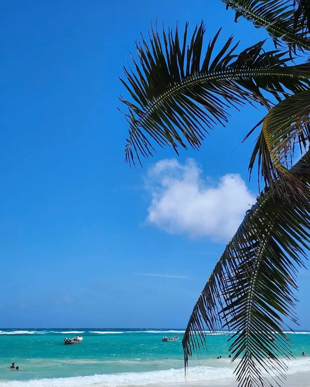 playa colosio en playa del carmen - sargazoinfo