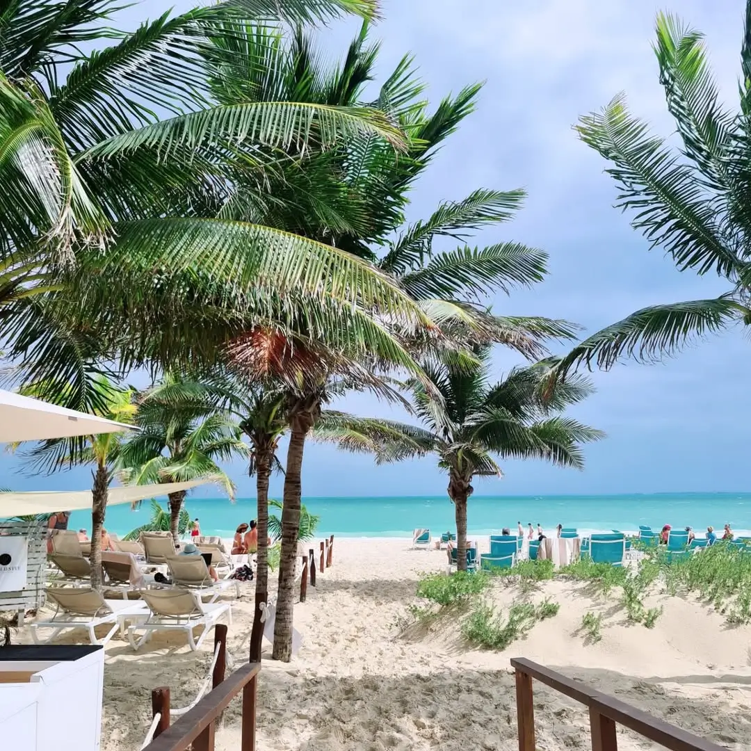 Playa Costa Mujeres en Cancún - Sargazo Info