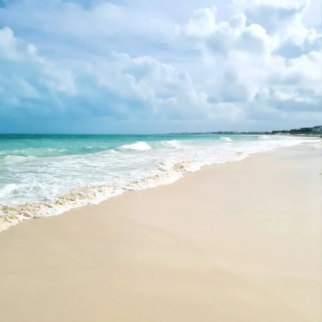 Playa Costa Mujeres en Zona Continental de Isla Mujeres en Cancún - Sargazo Info