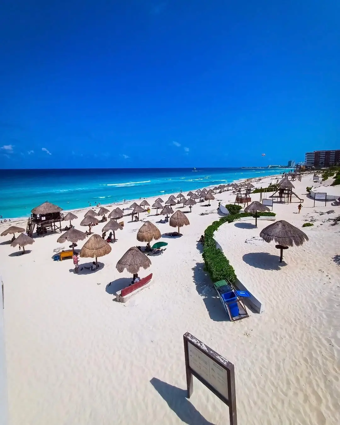 sargazo hoy en playa delfines cancun