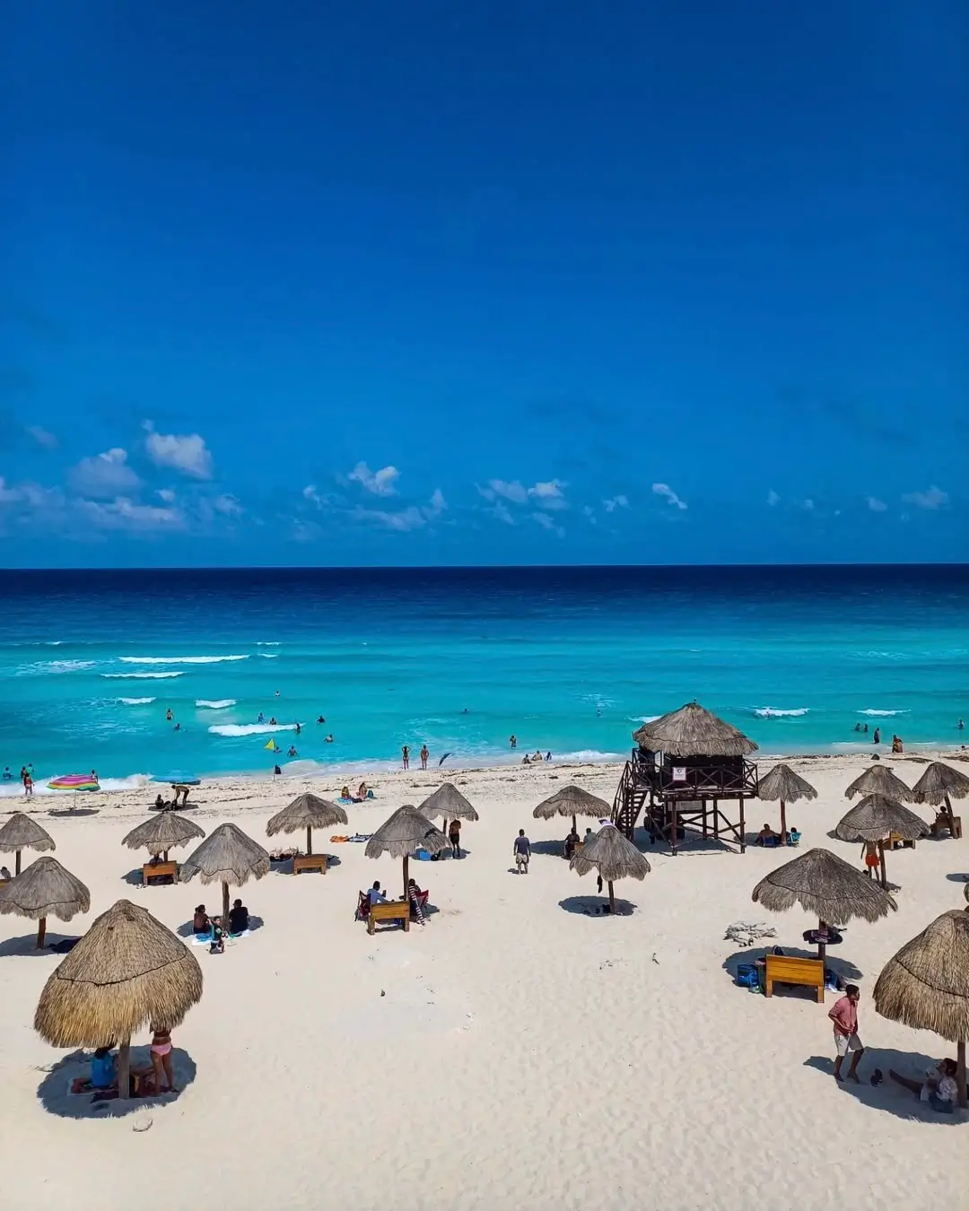 playa delfines en sargazo info cancún