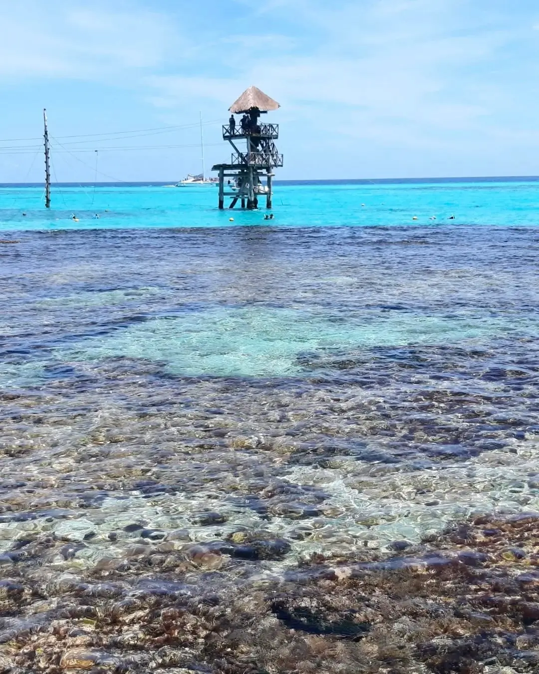 Playa Garrafón Park en Isla Mujeres Cancún