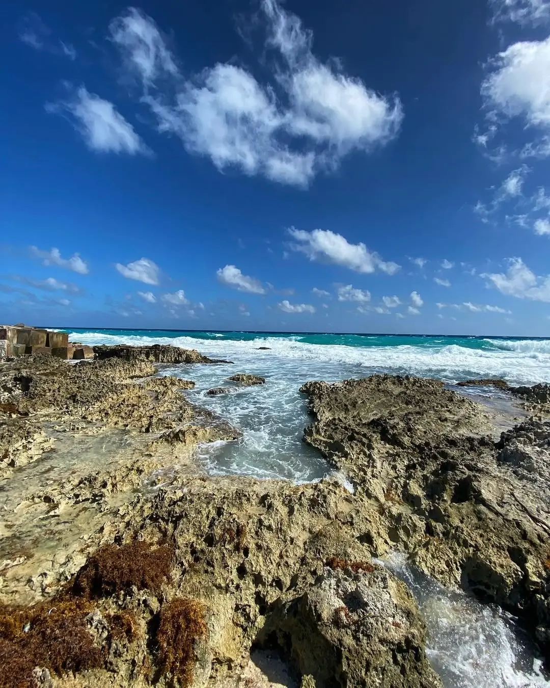 playa gaviota azul en punta cancún