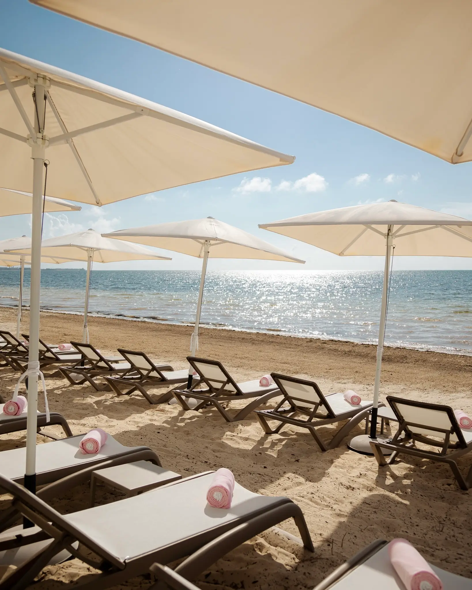 playa hotel ava en cancún - sargazo info