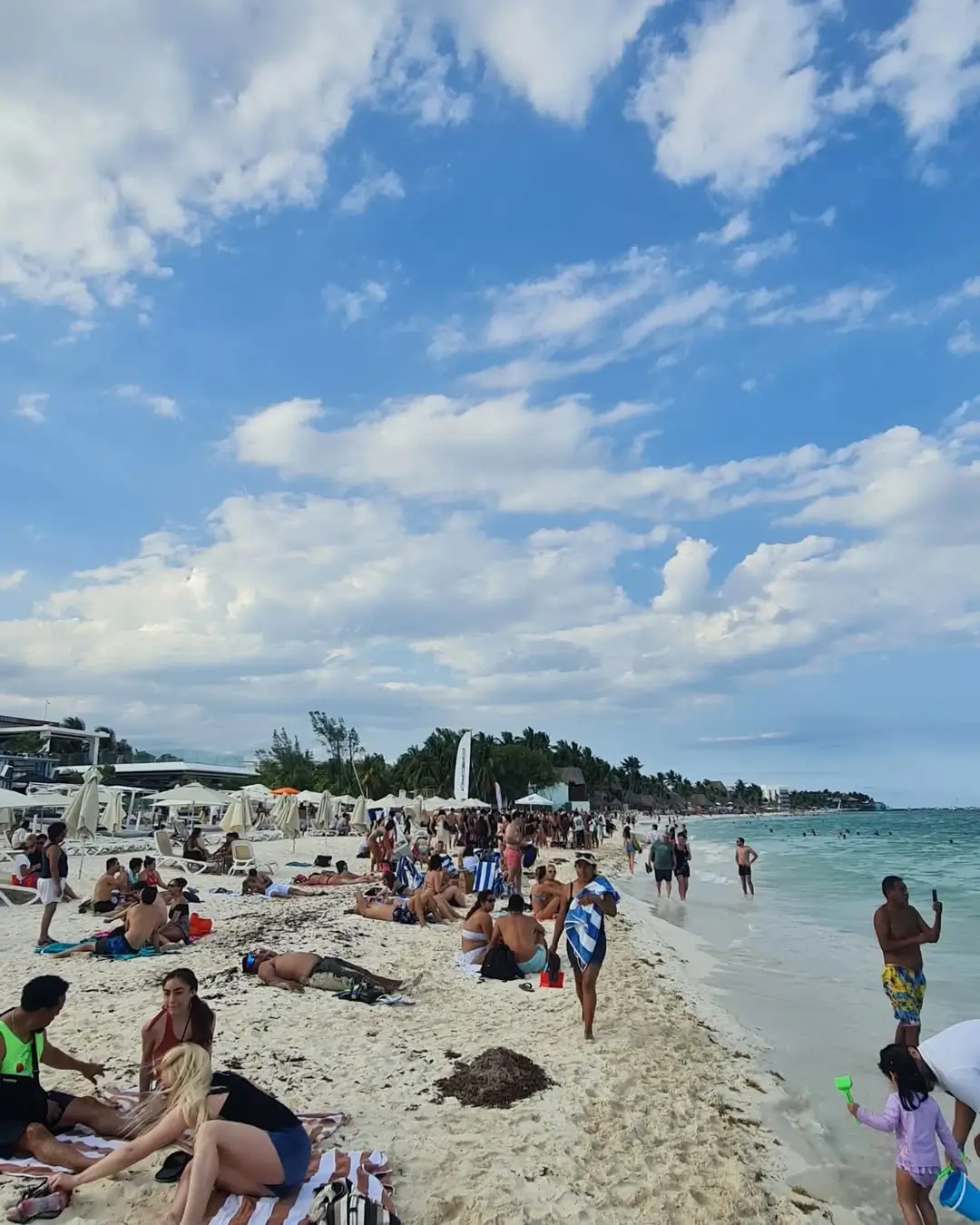 playa mamitas con gente y sargazo en playa del carmen