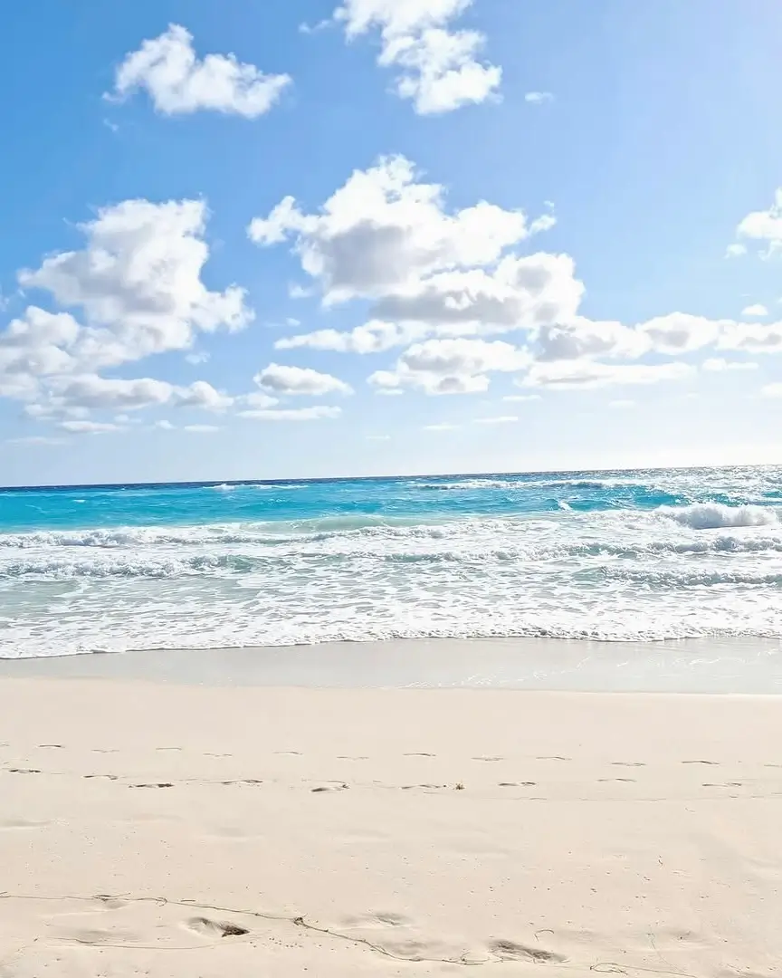 Playa Marlín Cancún en Sargazo Info