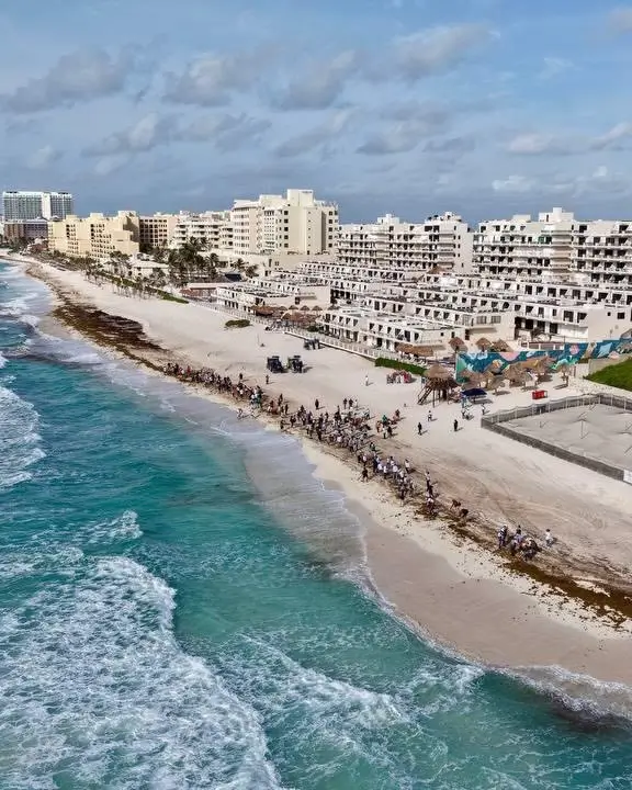 Playa Marlín Sargazo en Cancún