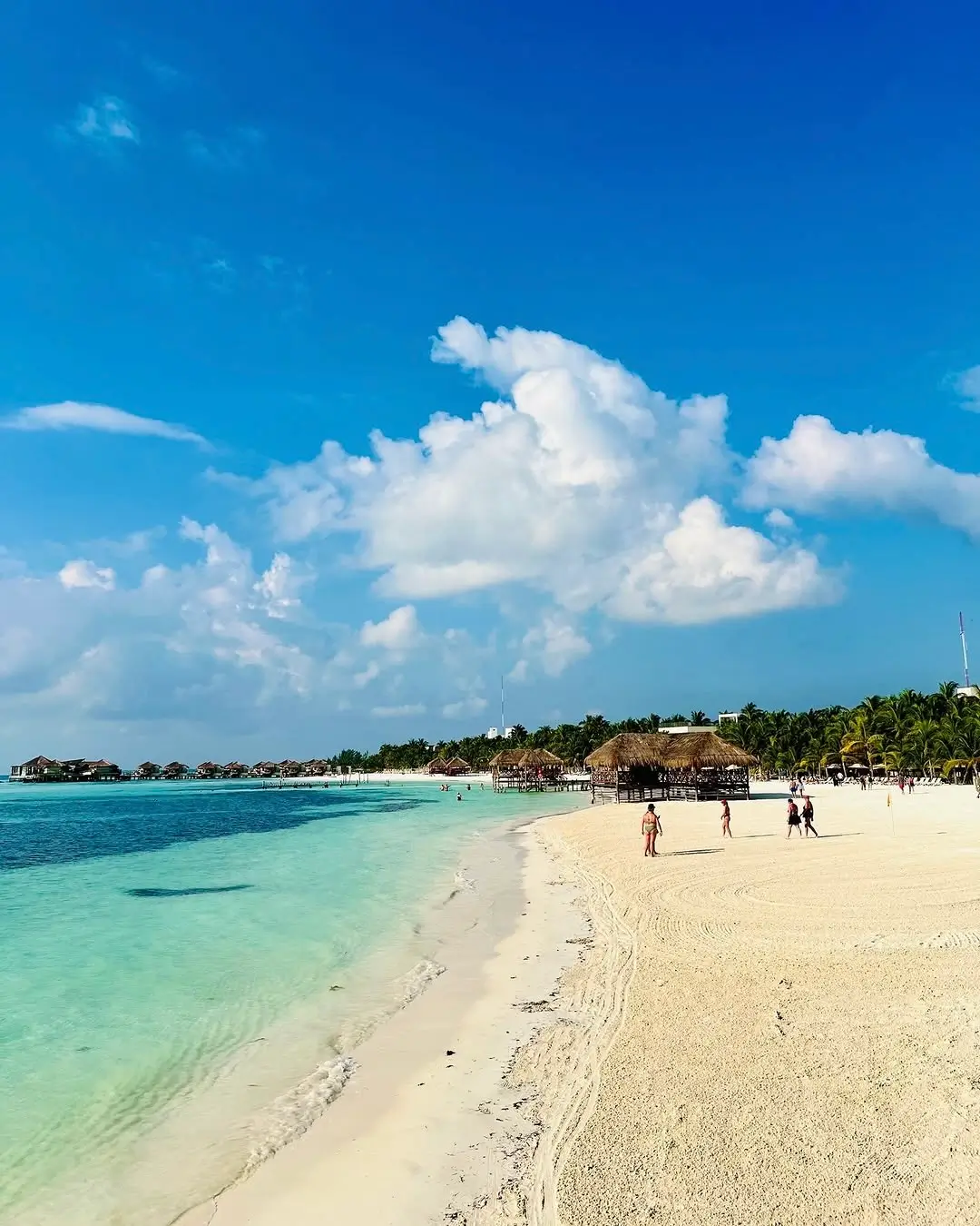 Playa Punta Maroma Riviera Maya en Sargazo info