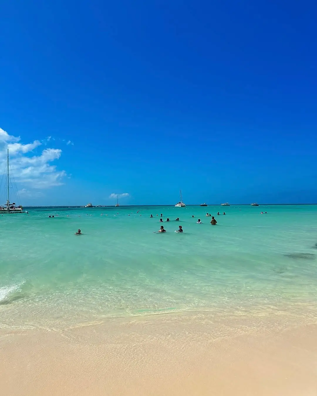 sargazo en playa norte en isla mujeres cancun