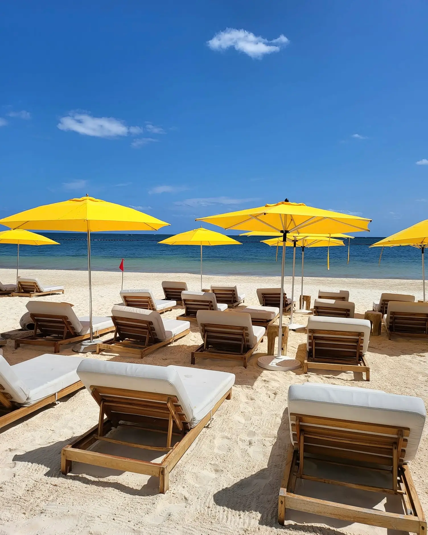 sargazo en puerto morelos norte