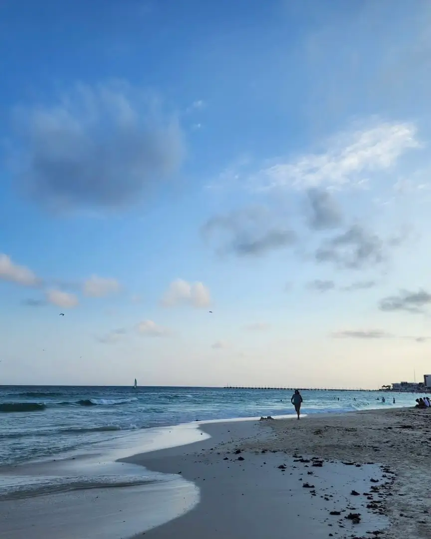 atardecer en playa pelicanos playa del carmen