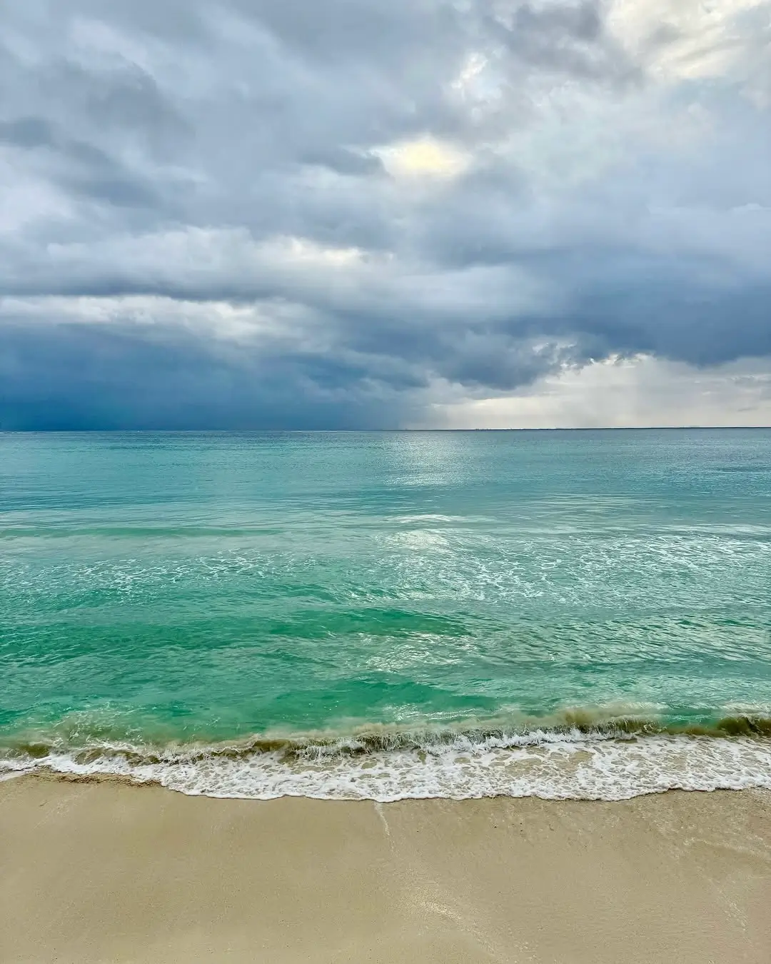 playa playacar beach en playa del carmen - sargazoinfo