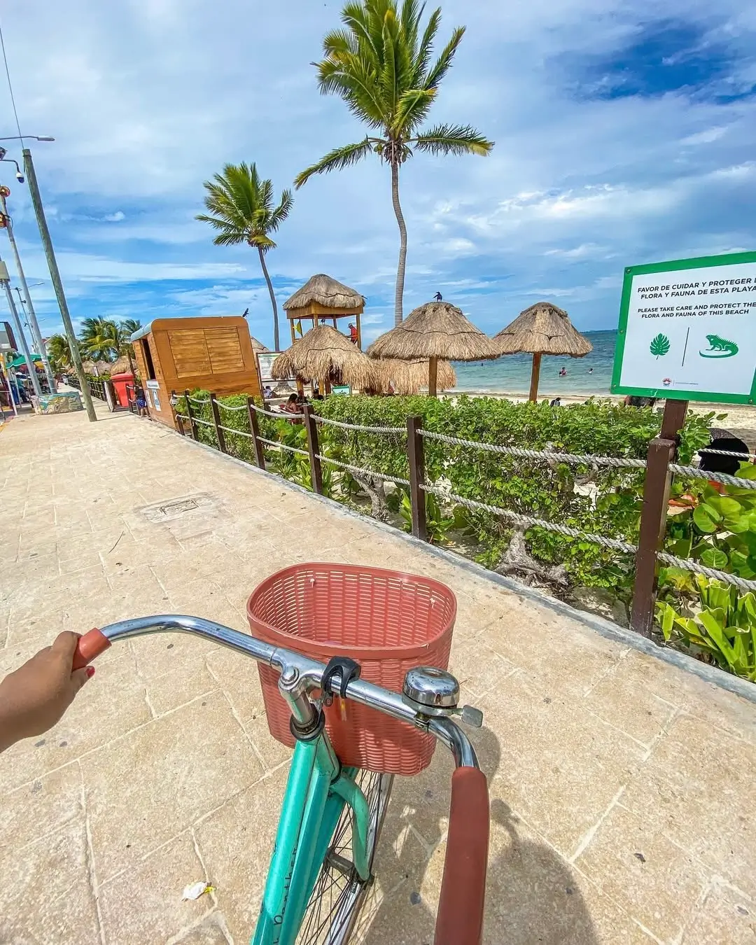 playa puerto cancun en sargazoinfo