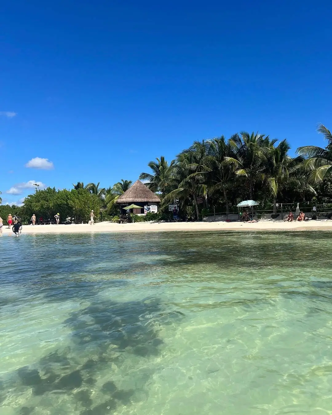 playa punta esmeralda en playa del carmen
