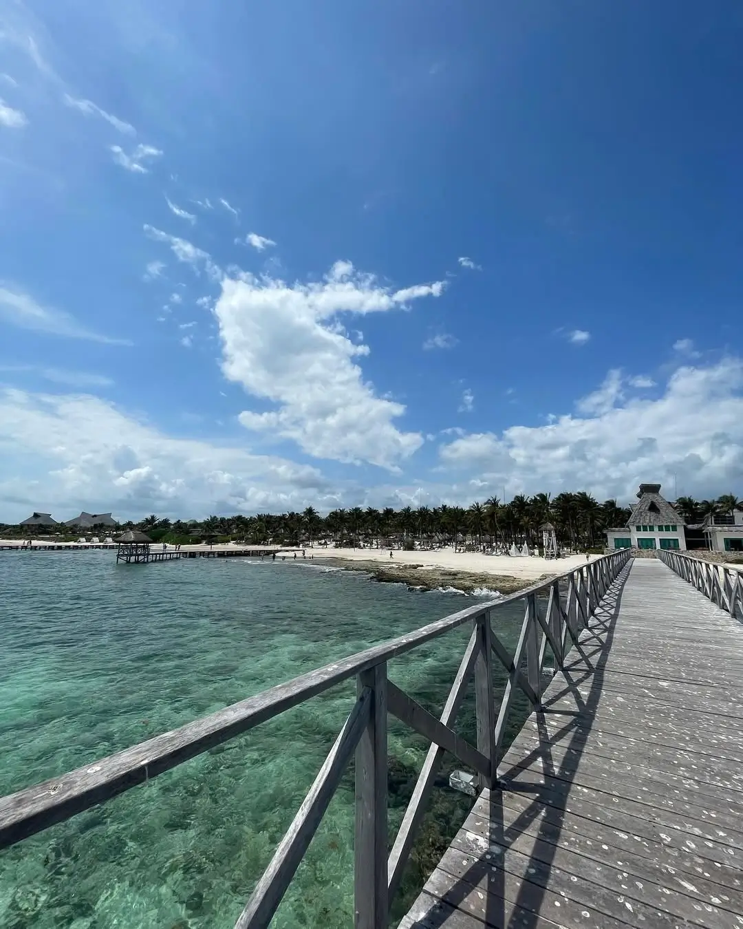 playa vidanta playa del carmen - sargazo info