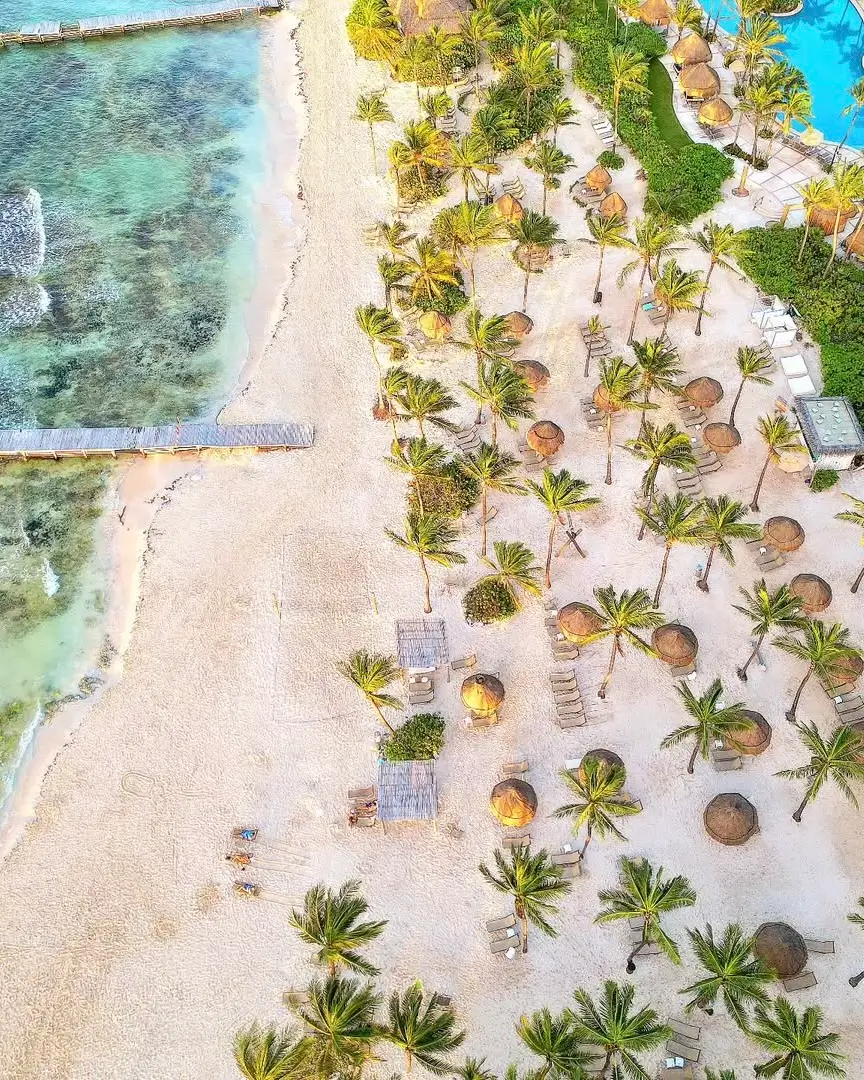 playa vidanta en la riviera maya - sargazo info