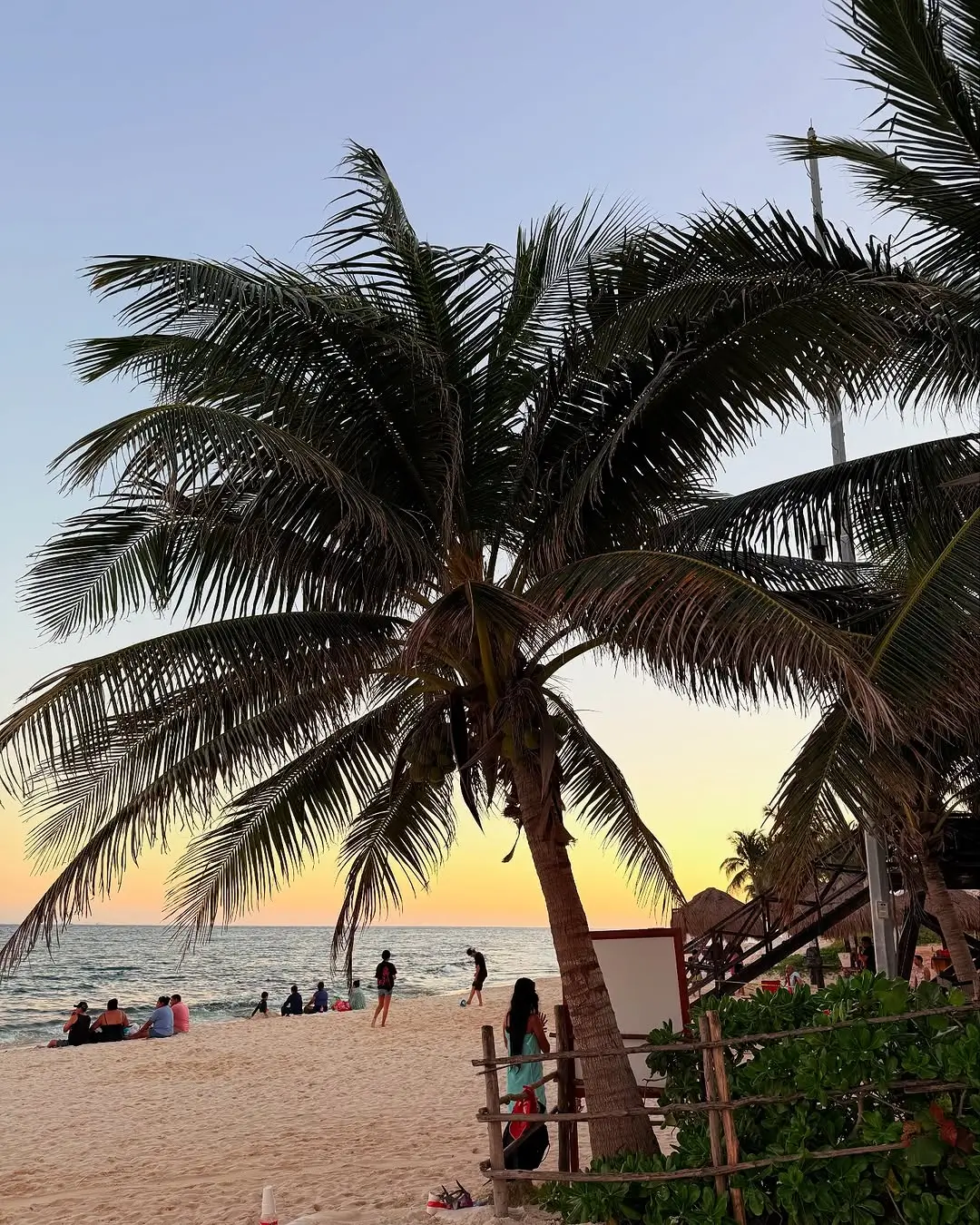 playa xcalacoco en playa del carmen - sargazo info