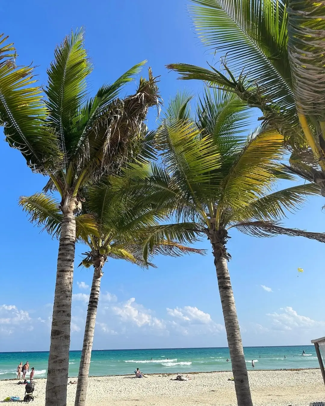 playas en playacar fase 2 - sargazo info
