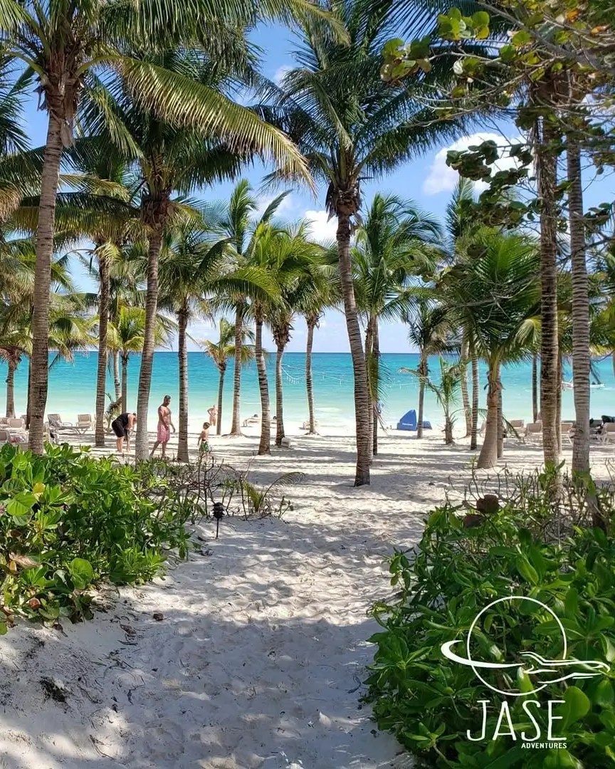 Sargazo en Punta Maroma Playa del Carmen