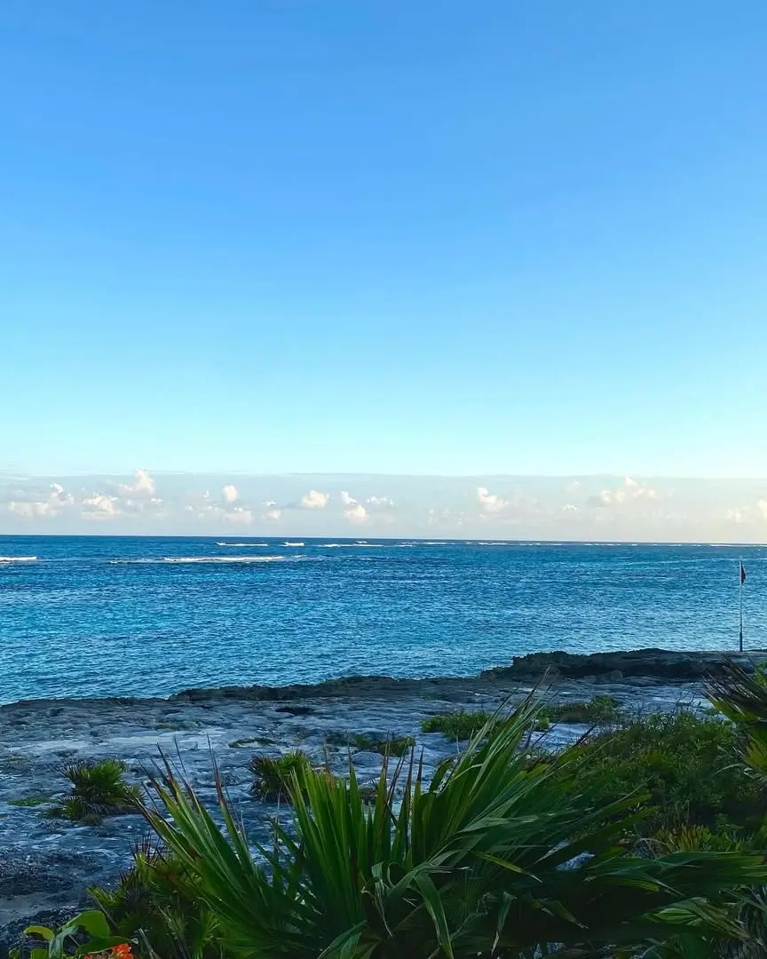Playa Punta Nizuc en la zona hotelera de Cancún - SargazoInfo