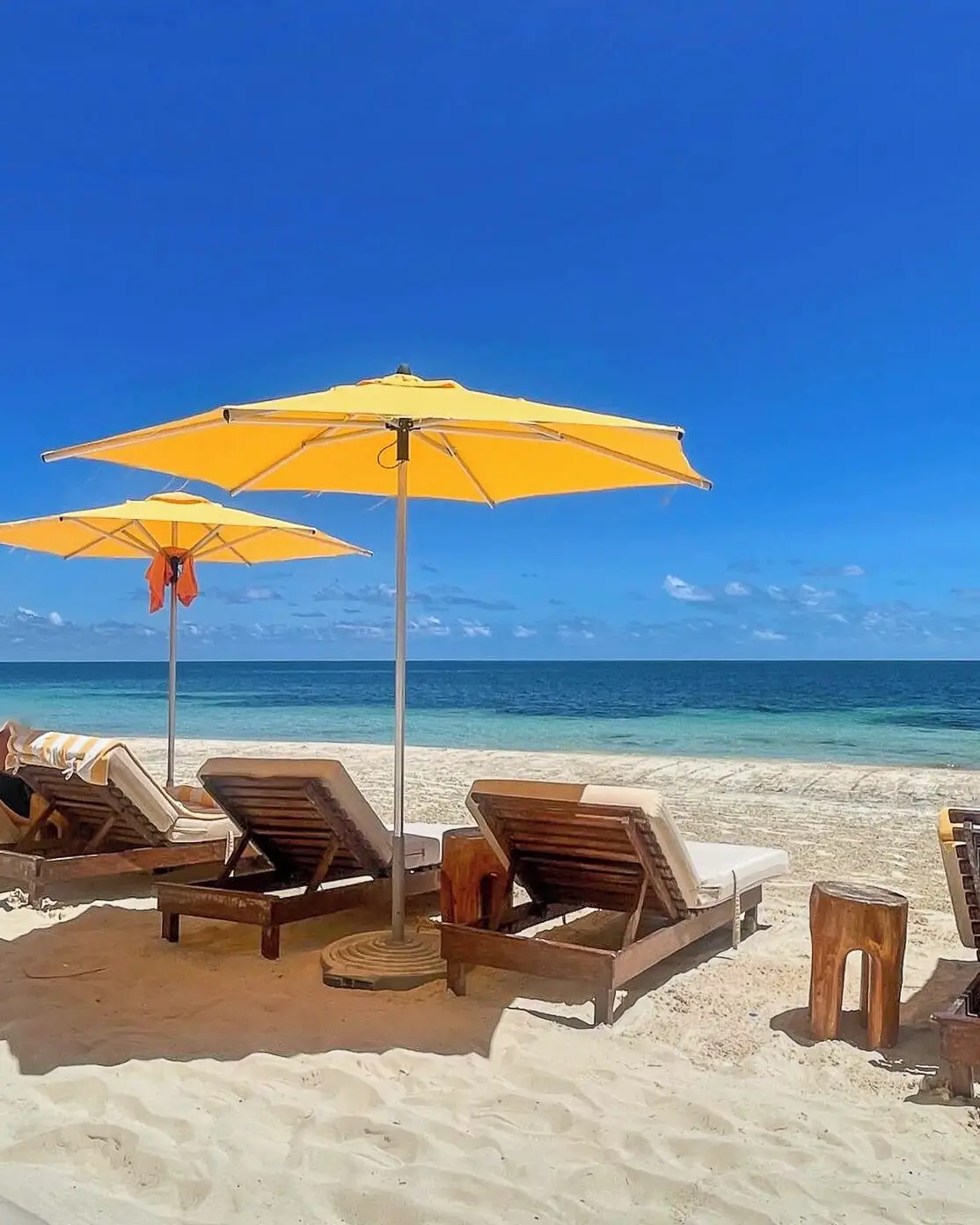 sargazo en puerto morelos norte - hotel five oceanfront