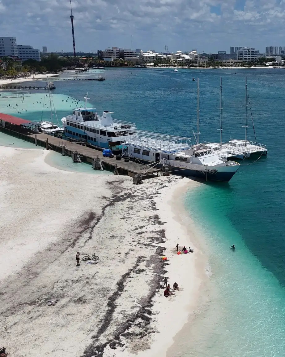 Sargazo 12 de junio 2025 en Playa Langosta en Playa del Carmen