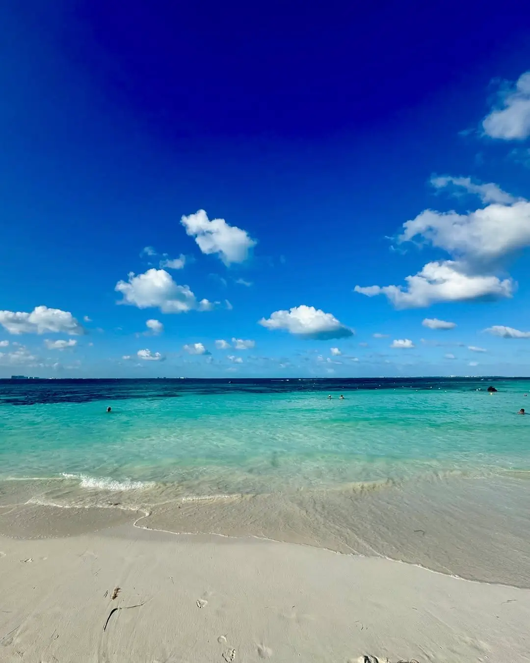 sargazo en playa caracol en la zona hotelera de cancún