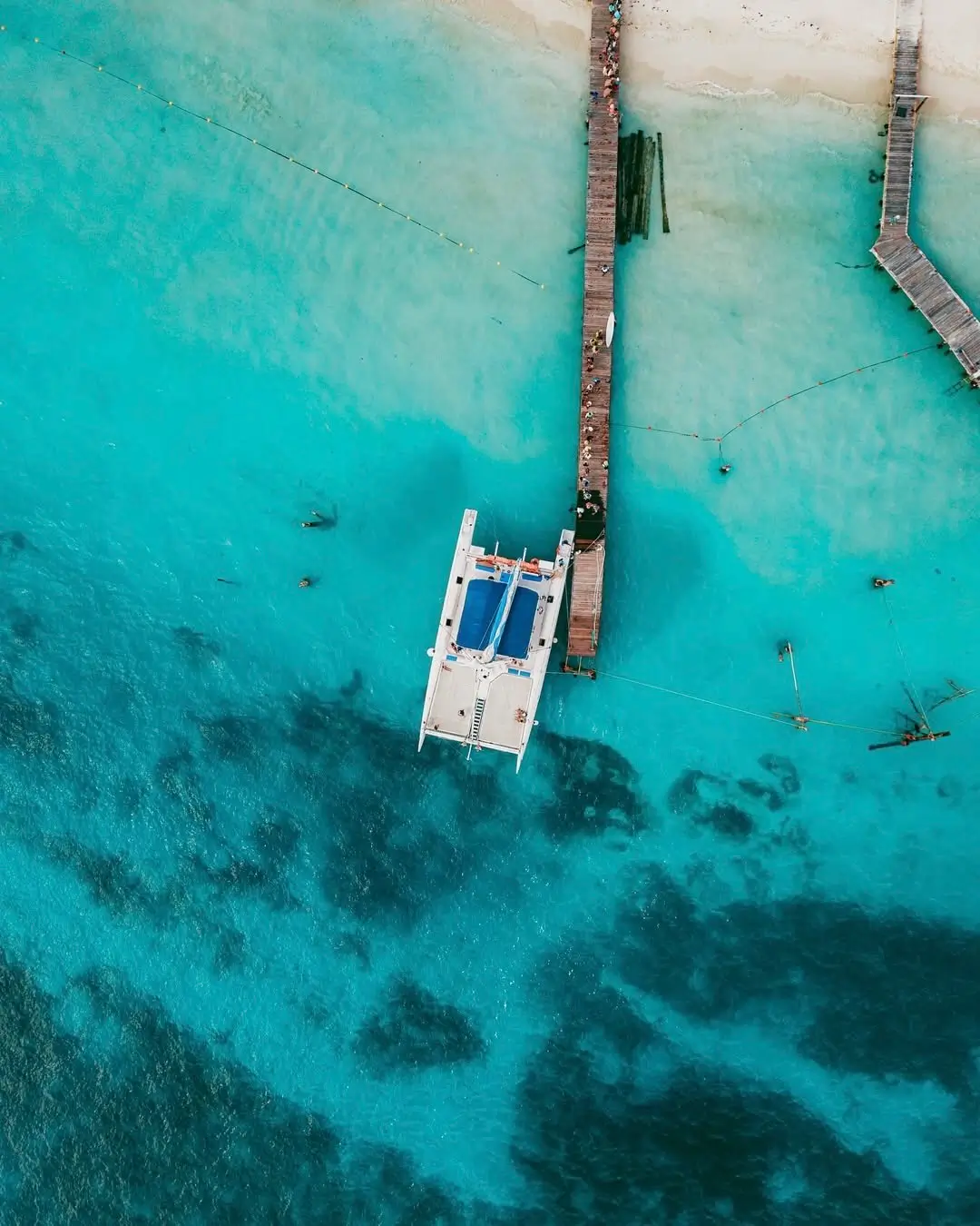 sargazo hoy en playa centro de isla mujeres quintana roo