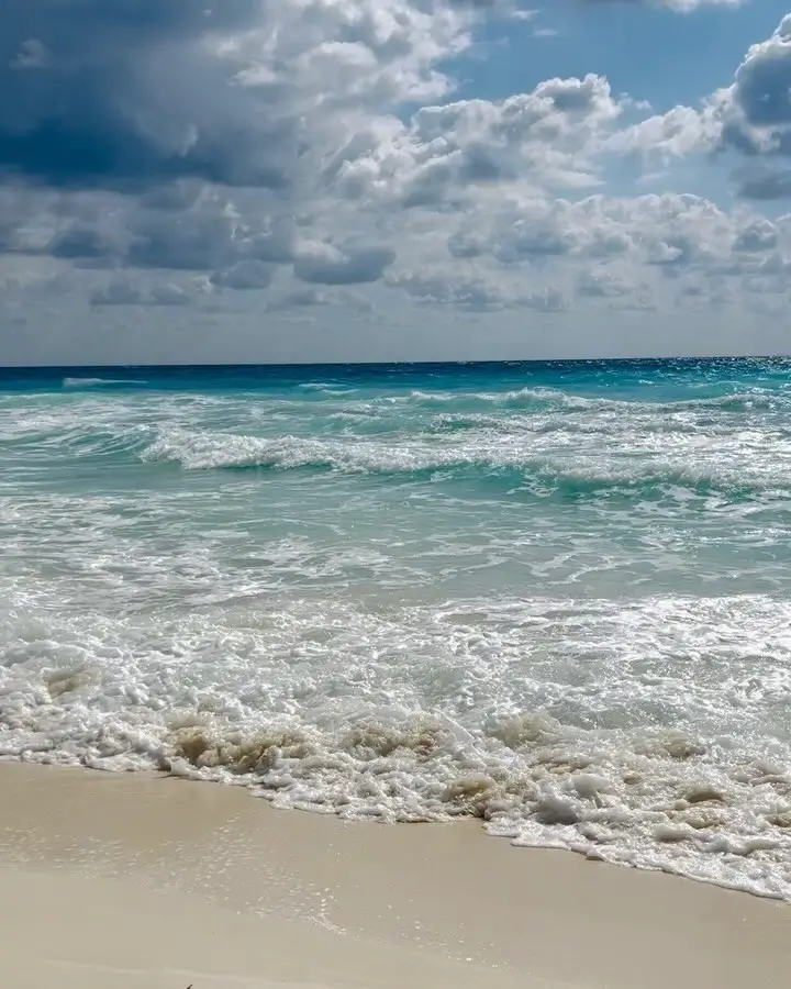 sargazo en playa chac mol en cancún