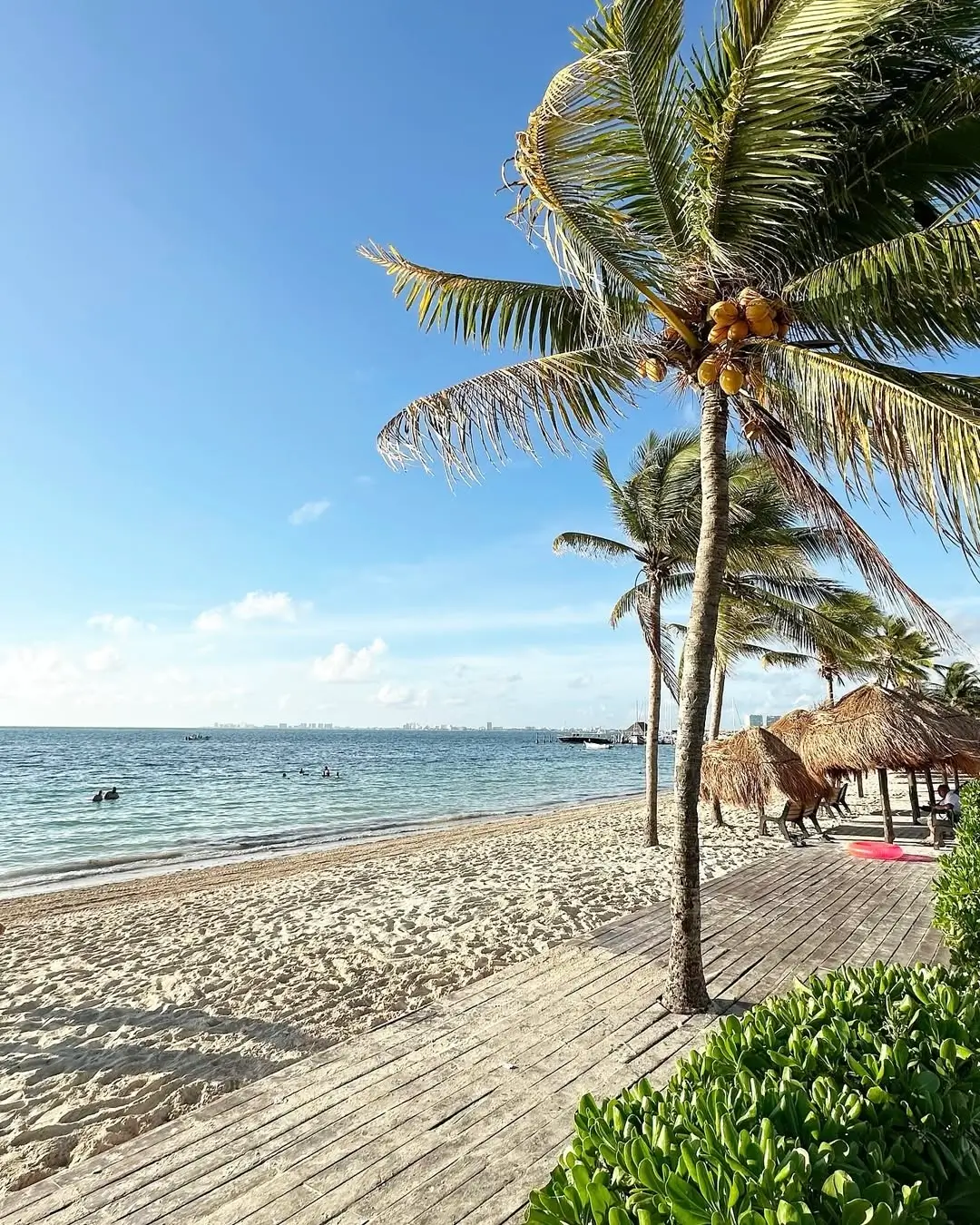 sargazo en playa de niño en cancún