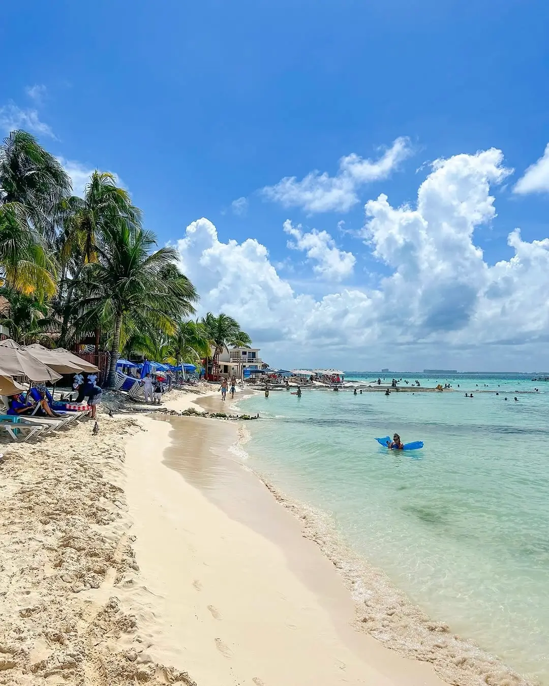 sargazo en playa norte en isla mujeres cancun