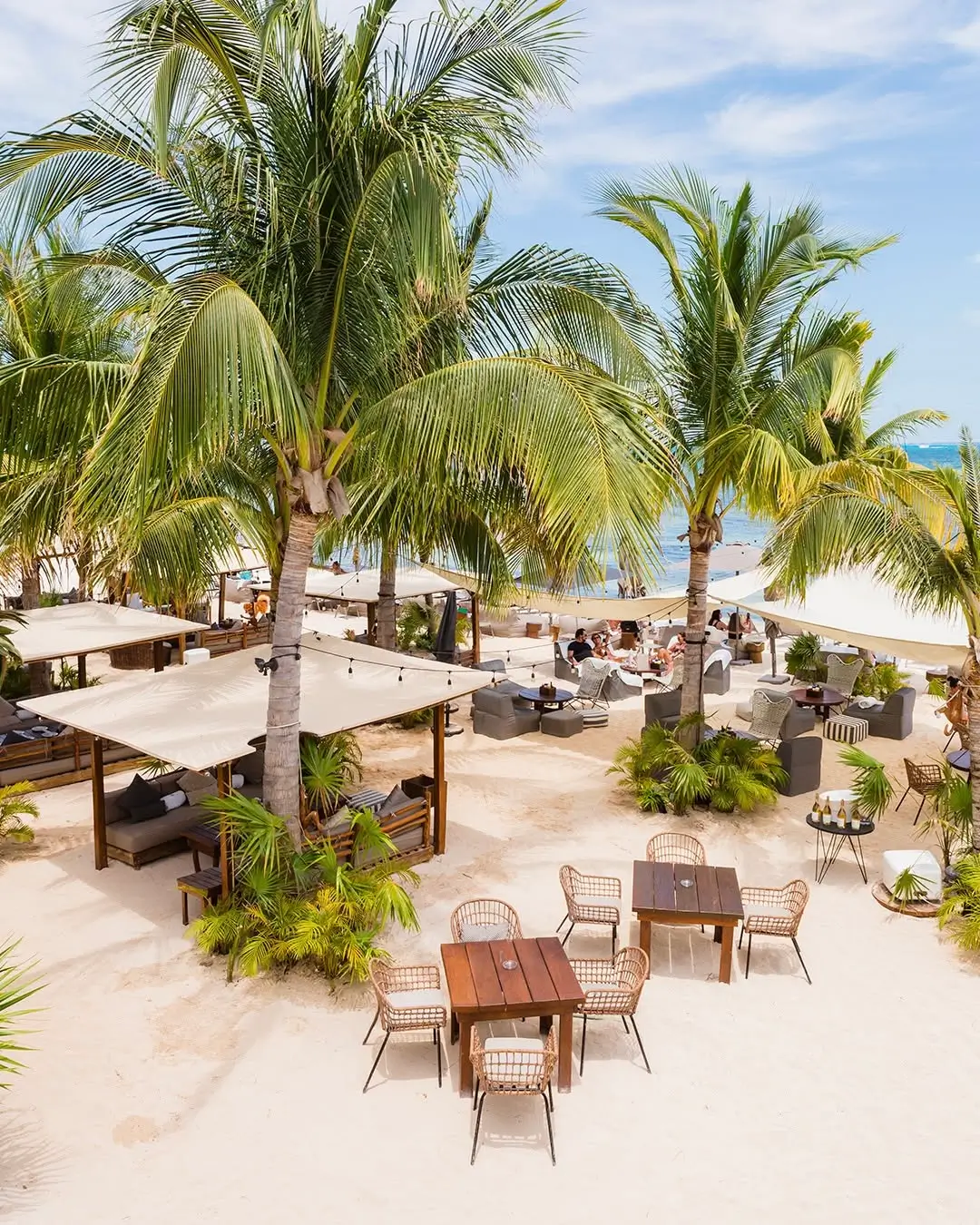 Sargazo en Playa Puerto Cancún