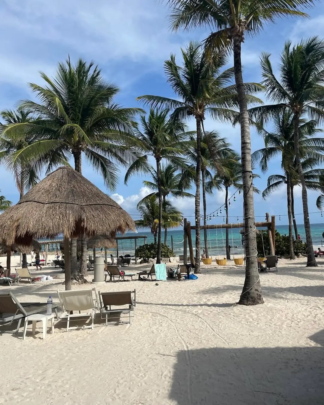sargazo hoy en playa vidanta en playa del carmen