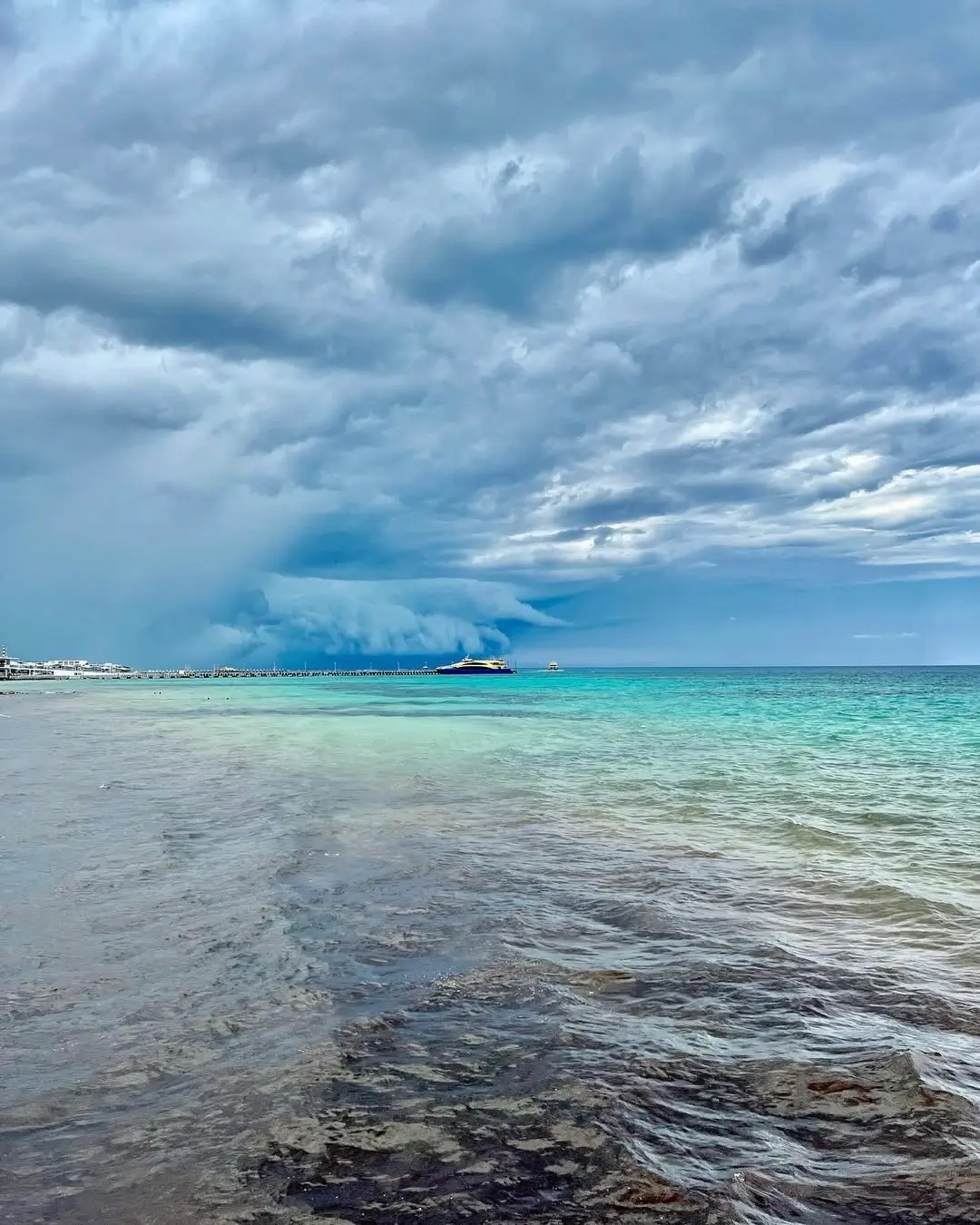 sargazo hoy en playacar fase 1 playa del carmen