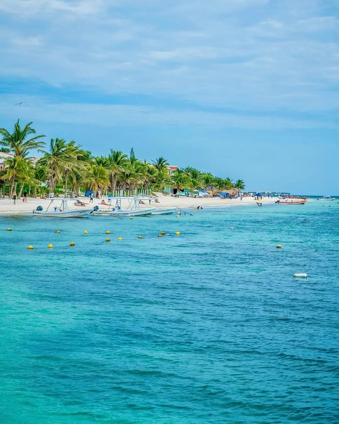 sargazo en puerto morelos