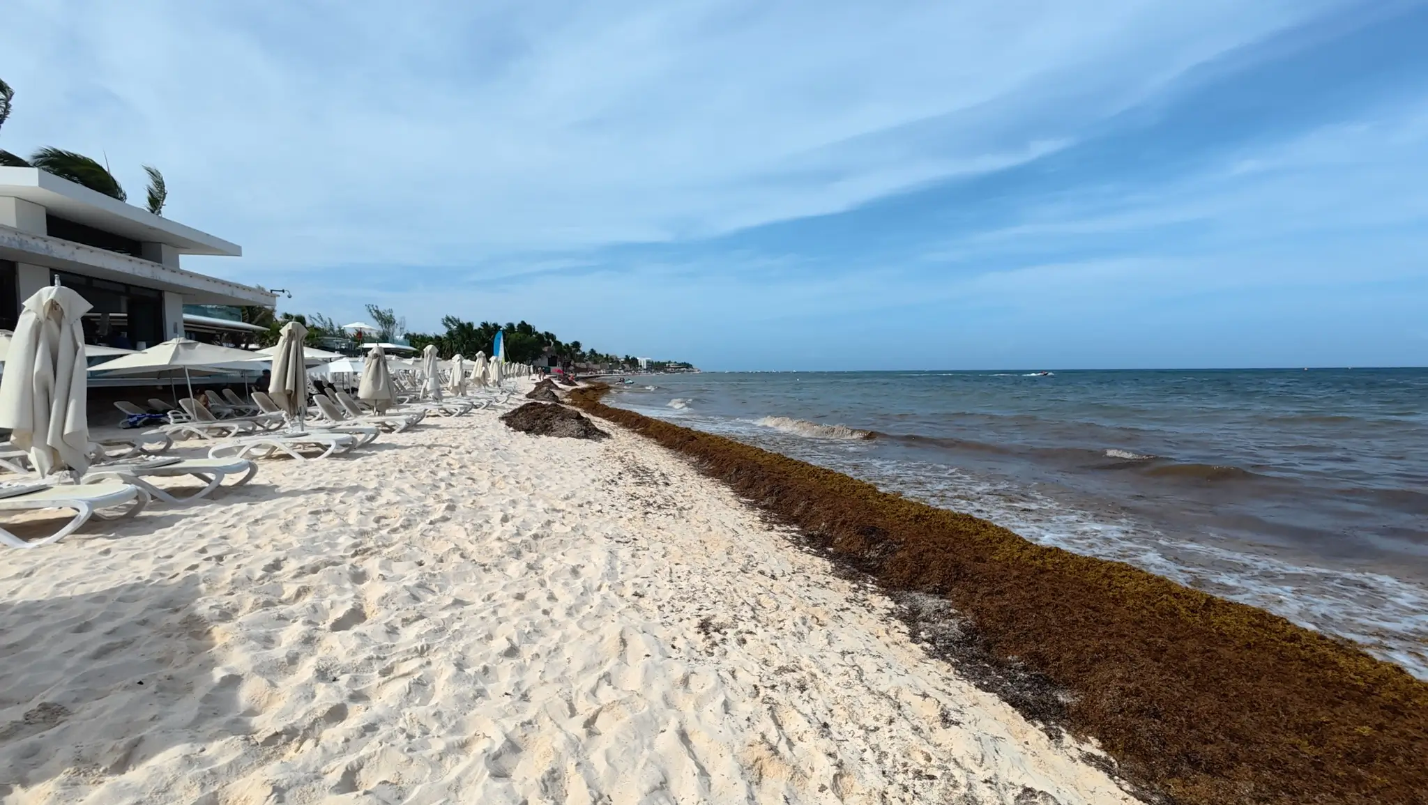 Revisa el sargazo hoy en quintana roo 16 de junio del 2025