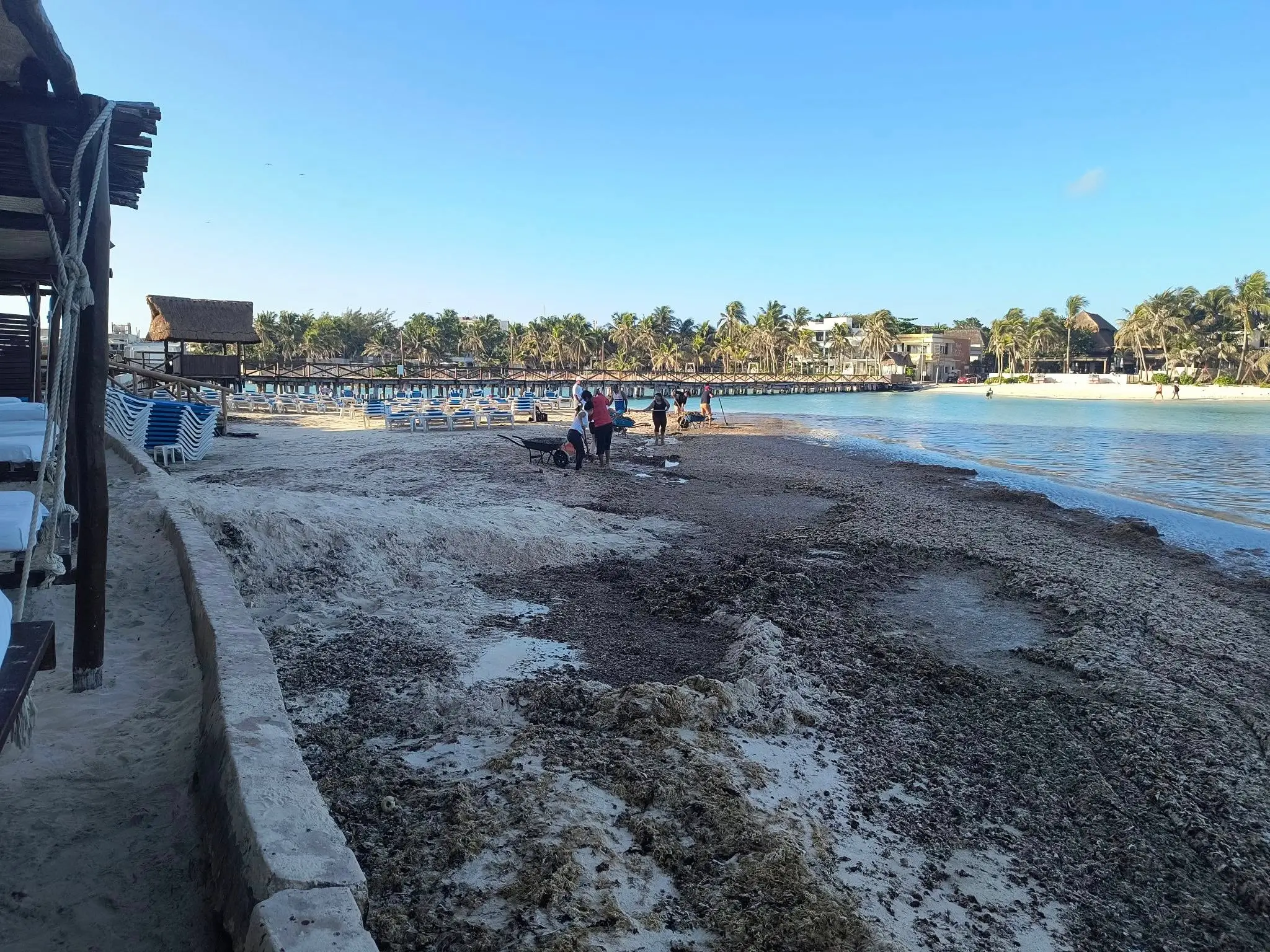 sarazo hoy 18 de junio 2025 en isla mujeres