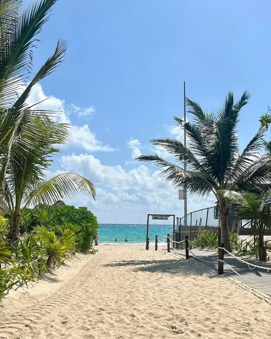 sargazo hoy en playa 88 playa del carmen