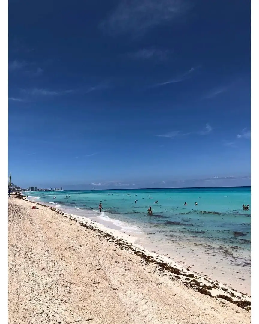 sargazo hoy en playa ballenas en la zona hotelera de cancún - sargazo.info