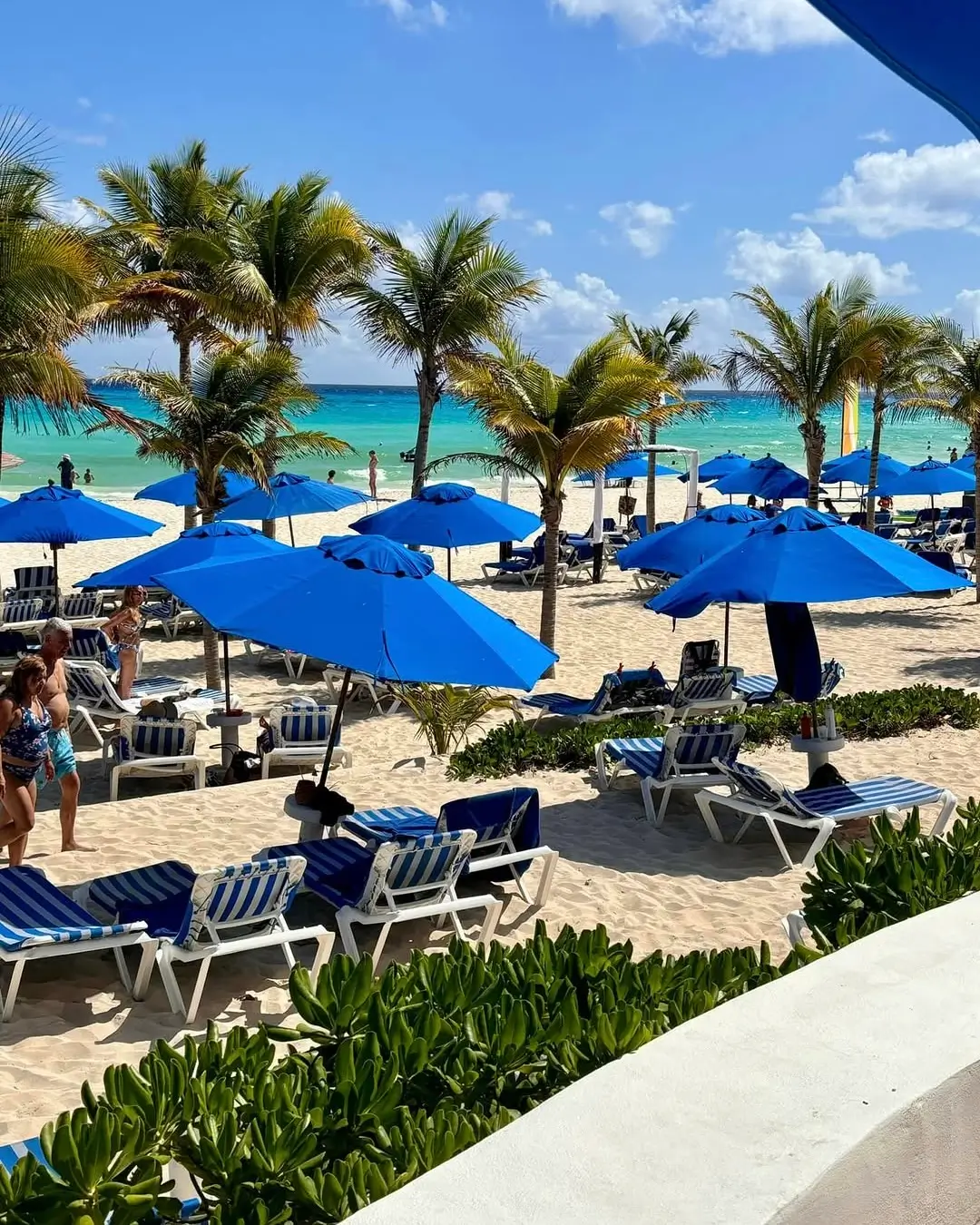sargazo hoy en playacar fase 2 playa del carmen