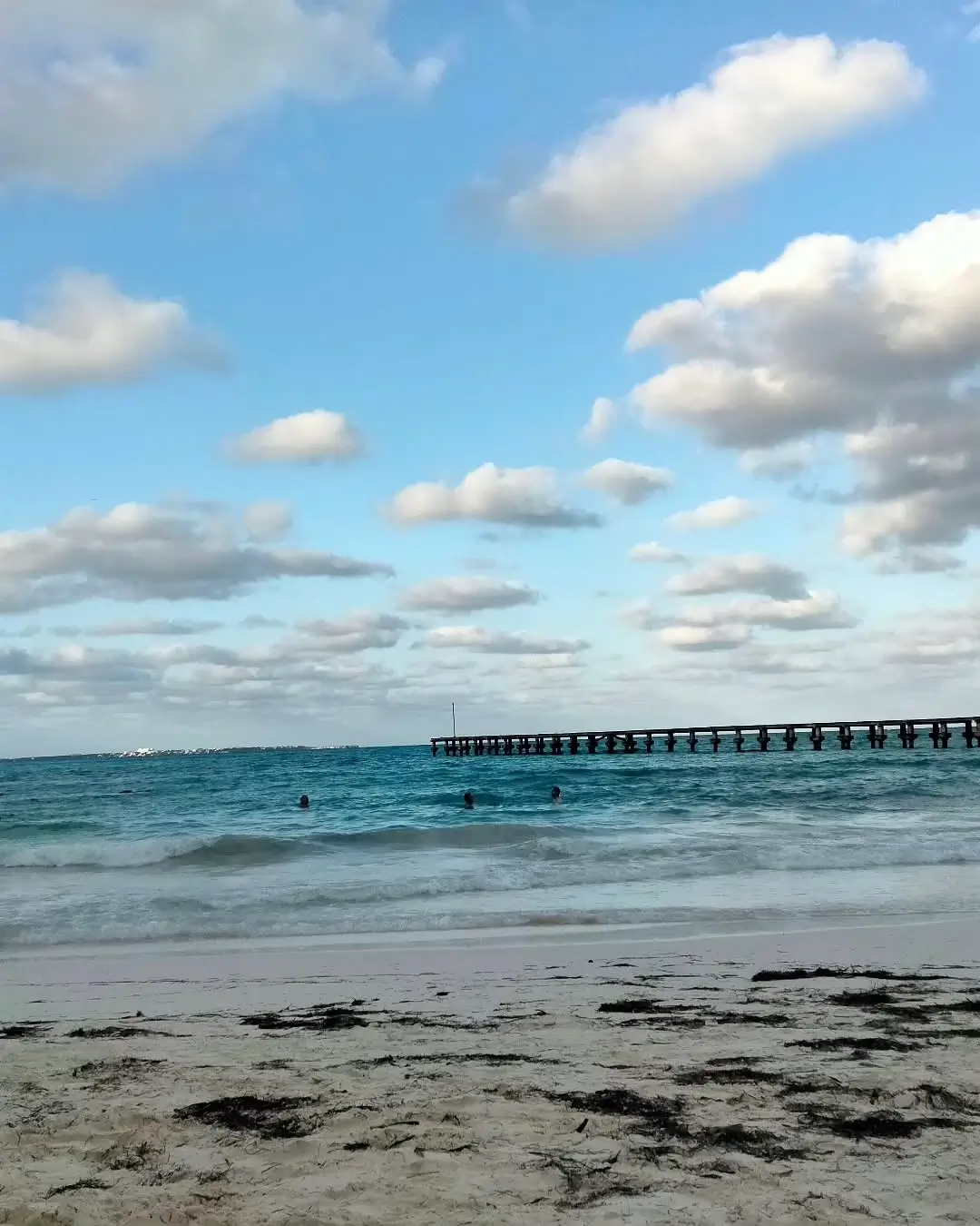 sargazo hoy en playa caracol en cancún
